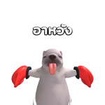 @gus11659