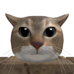 @Boblakss