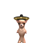 @doge890753
