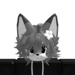 @CorgiKNG