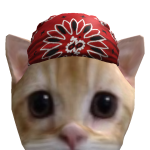 @Stormvsh