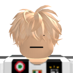@fortbedwars221
