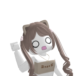 @sis13333