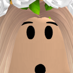 @pandinhamfofinham