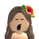@Chinchila_queen12
