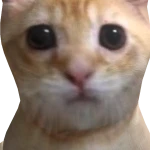 Ort3g2's avatar