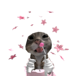 @candy_cat808