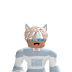@Sh4unRblx