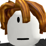 @R0bloks002