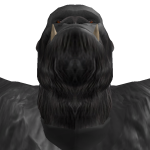 @Devonlikesroblox7