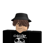 @Gavinbossgamer1
