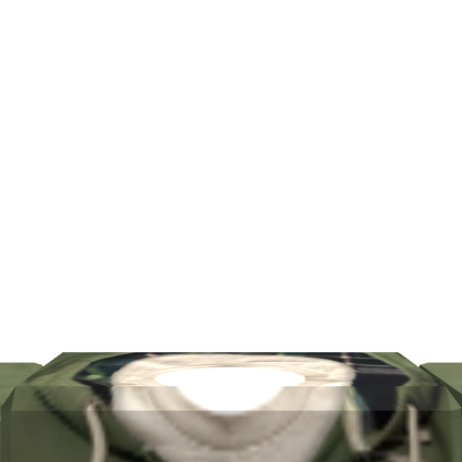 FI_ws