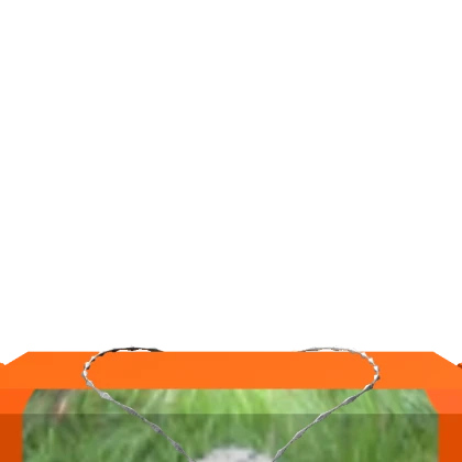 Rougesy's Roblox avatar