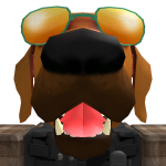 @roblox_user_184469881