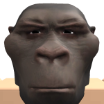 @peelips1
