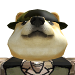 @Pirate080