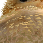 @Eliottbraem