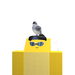 @Itzicerplayz