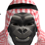 @chefpp456