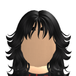 @zara_murder001