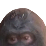 @manjordanjorsh