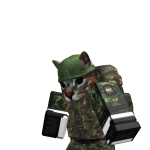 @pedrongf