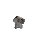 @Brunothedogakacoco