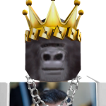 @CanerTR