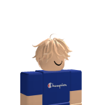 @Robloxain_robloxplay