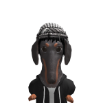 @cqqlv