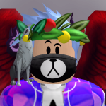 @rafa0353