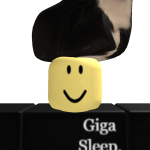 @TEAMSleepyCats