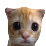 @leesho1002