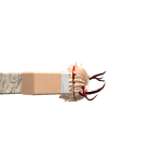 @MarshmelloUnicorn999