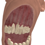 @Rep_GatorZ