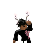 @roblox_user_2370258739