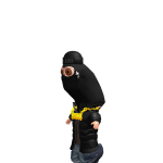 @JusticePlayz75
