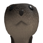 @TheGreenPerson999