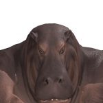 @monstermshr