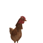 @Return_ofcurse
