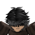 @DragonBloxinator