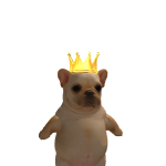 @ConnorNmm2
