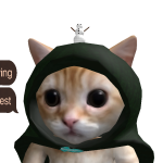 @catgamerrblx27