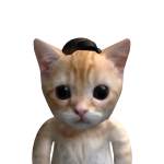 @Centogrsm