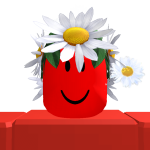 @Certif1ied