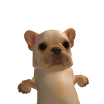 @Jeydanqt12