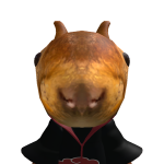 SquirrellyD