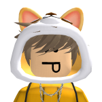 @roblox_user_5505309544