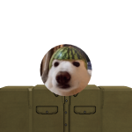 @Doggdude487