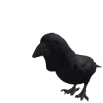 @xemixcrowxhammyxmeep